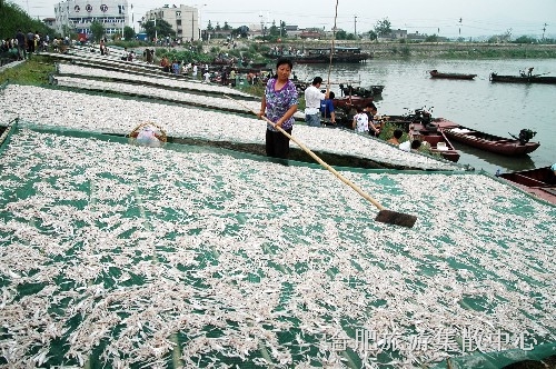 巢湖