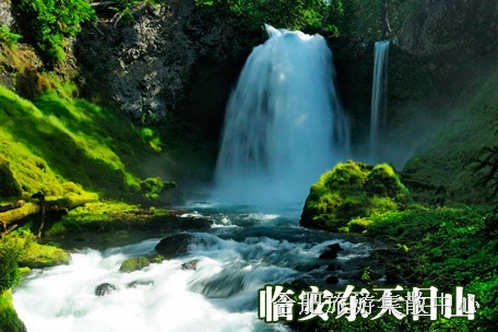 临安
